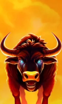 Big Wild Buffalo 2